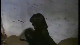 雙胞胎分享一隻公雞