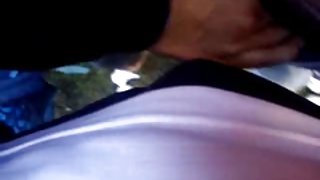 Ariqueña給了圖拉吮吸的花